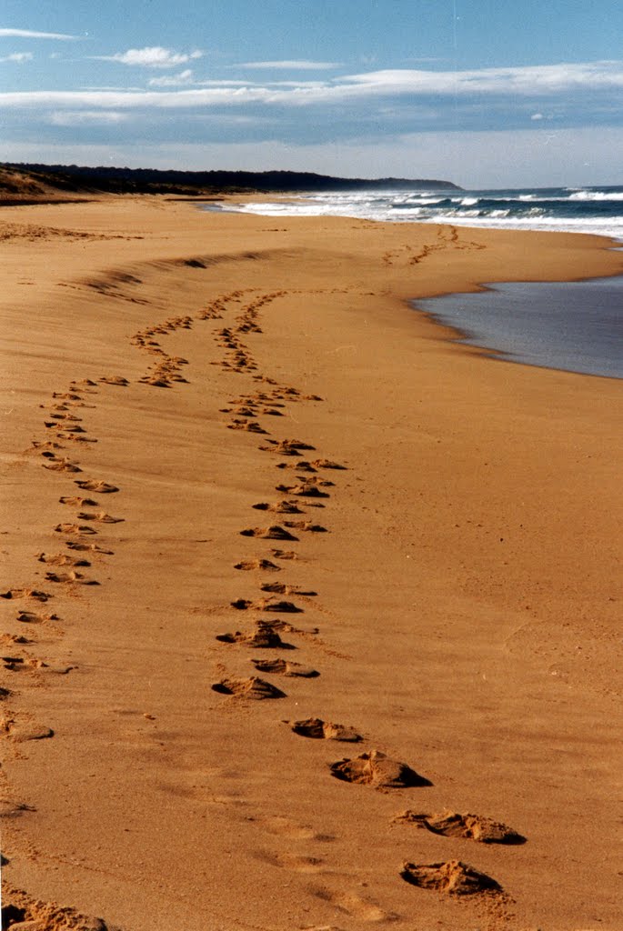 Footprints in the sand on the 90-mile beach (1996) - or should that now be the '144-km beach'? by Muzza from McCrae