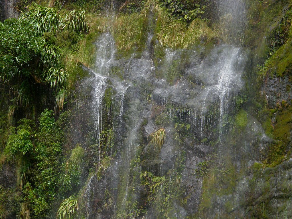 Waterfall wall, Milford Sound by Marilyn Whiteley