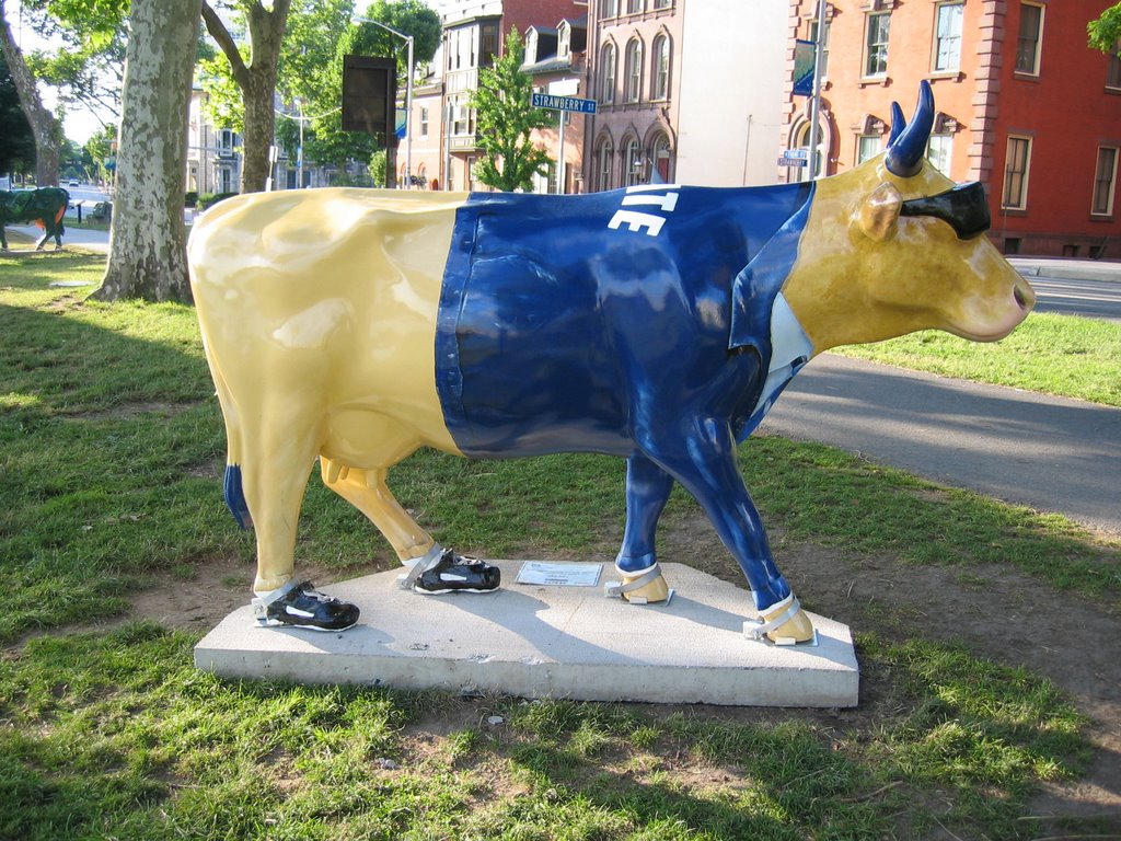 Joe Pa (1) by 138Cows