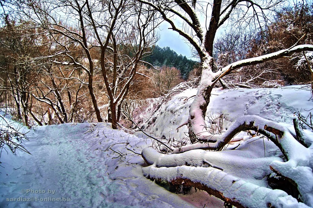 Winter - Pilisszentkereszt Dera-patak DSC_2886-2 by Sárdi A. Zoltán ♥Budapest♥