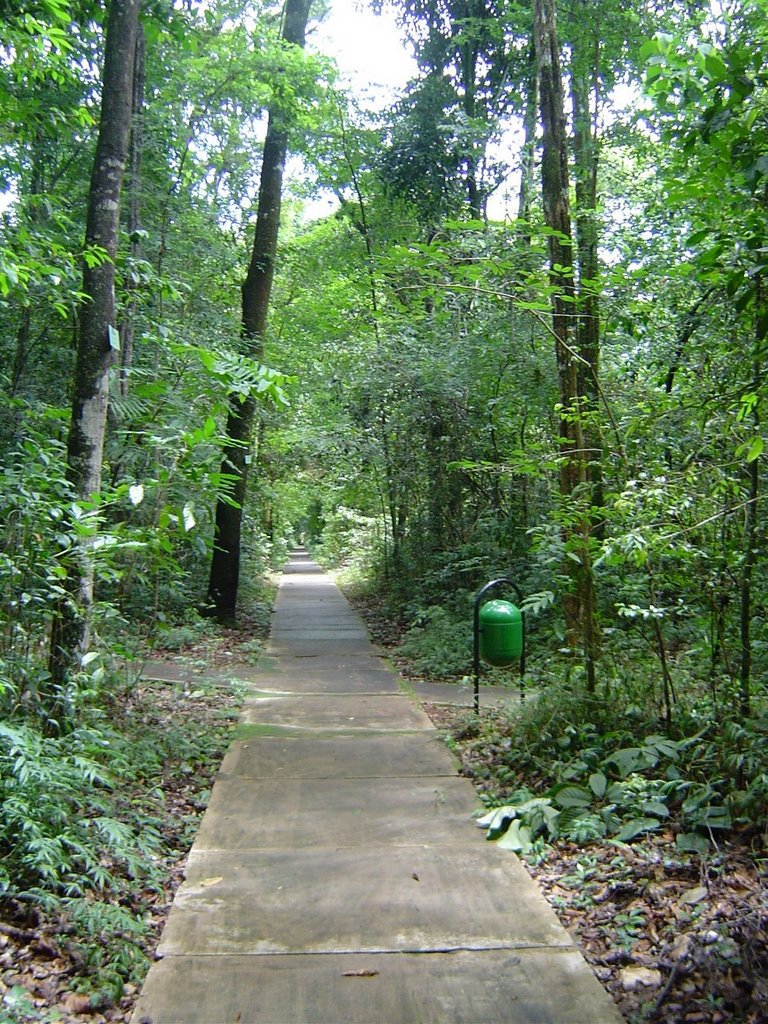 Bosque Municipal de Araguari by BONDER