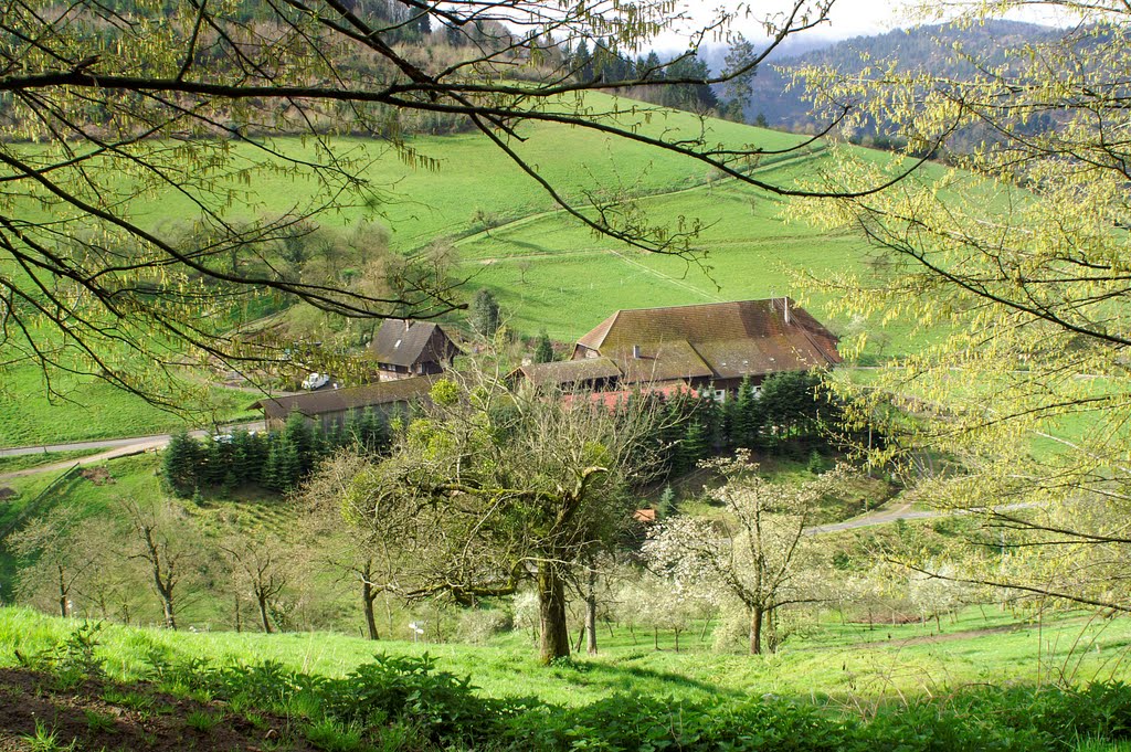 Müllers Mühle by Alfred Schneider