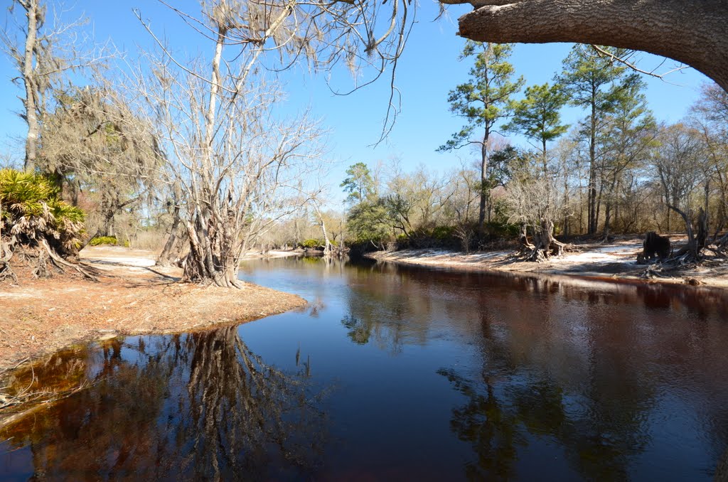 Suwannee River by Herve Quatrelivre