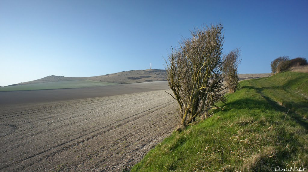 Au Cap Blanc Nez en ce jour de Printemps - 210311 - by Daniel Herlent