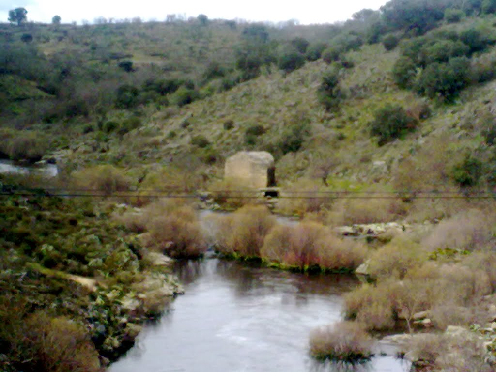 Vista del molino desde el puente. by o rey do café