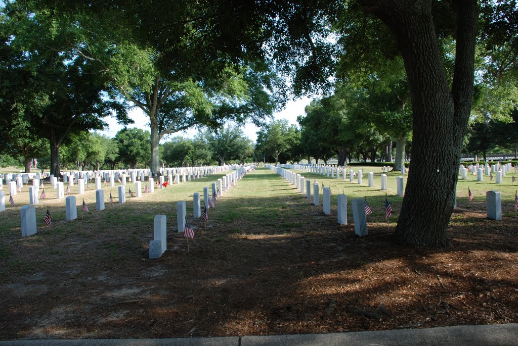 Naval Cemetary -Pensecola NAS by ringo9000