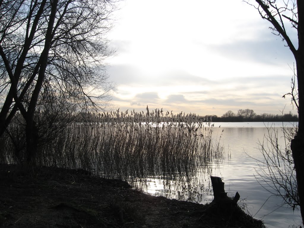 Swavesey/Fen Drayton Lakes by GJTournels