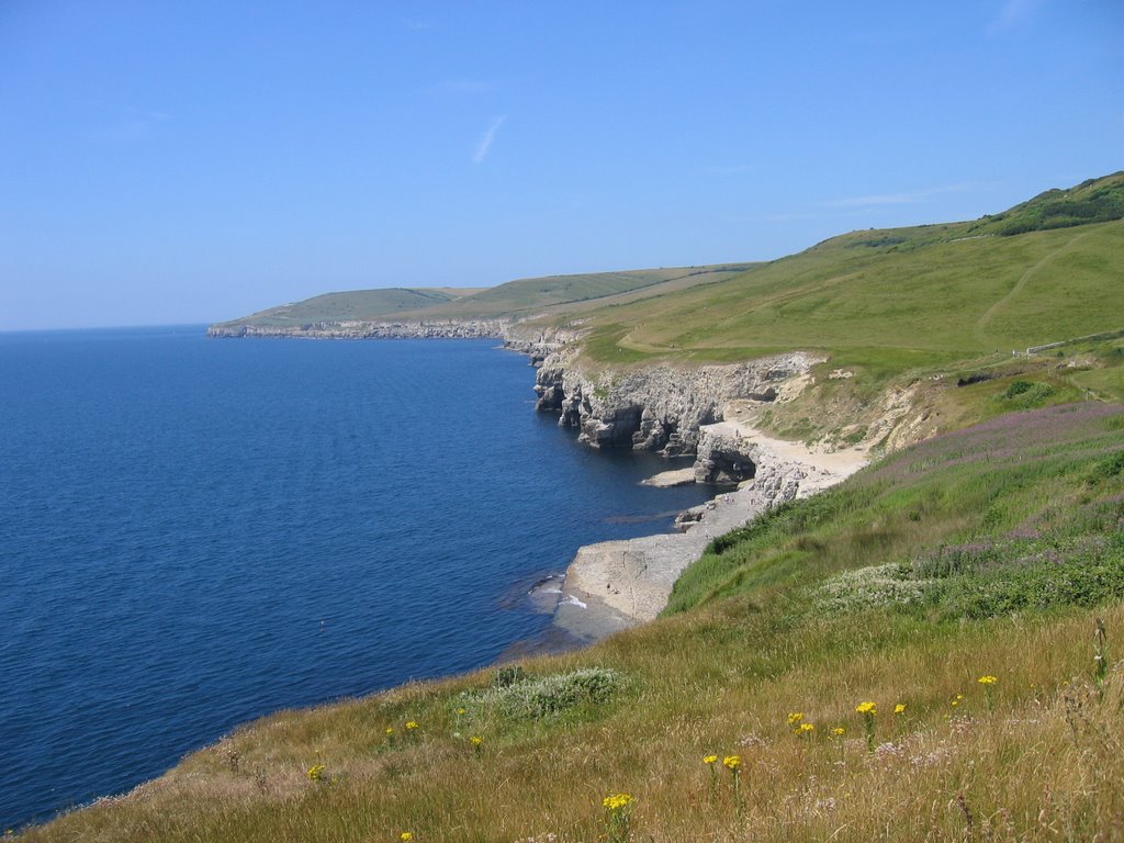 Dancing Ledge, near swanage, Dorset by Thomas Bridle