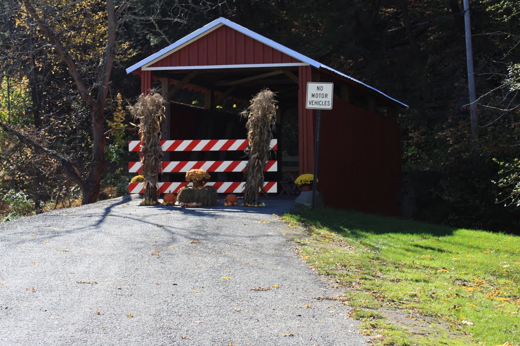 Shoemaker Covered Bridge by LINYSoxFan