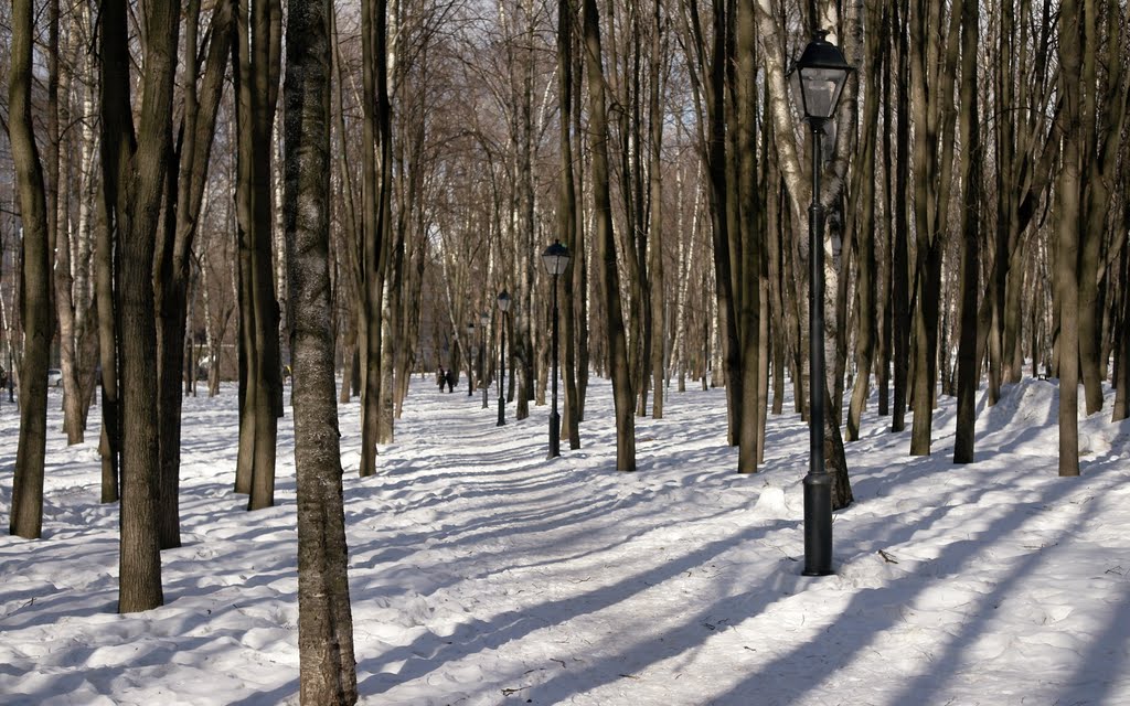 Москва. Бабушкинский парк. Весна. by SergAnto