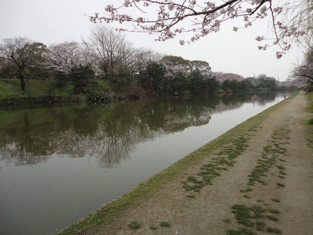 大濠公園東 by kanesue