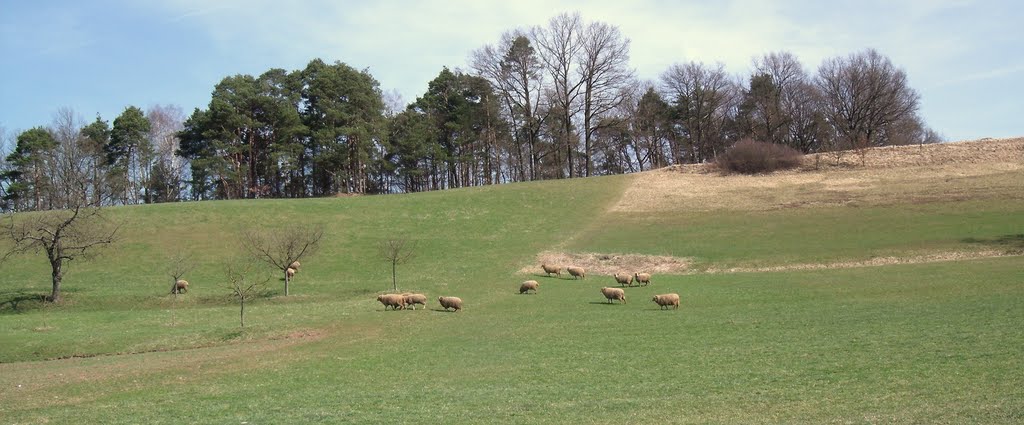 Natürliche Rasenmäher. by Pfiffer