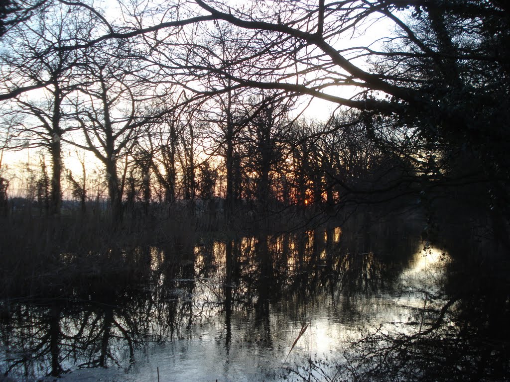 Zon achter bomen by Toon Geusens