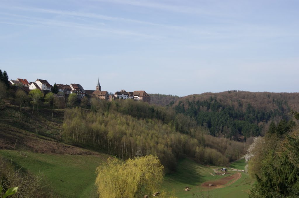 Vue sur le château de la Petite Pierre by frédéric-genevieve