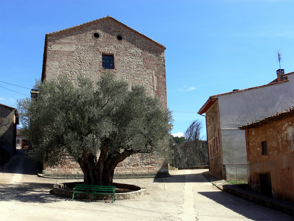 PUEBLA DE VALLES (Sierra Norte-Guadalajara). 2011. 08. Olivo milenario. by Carlos Sieiro del Nido