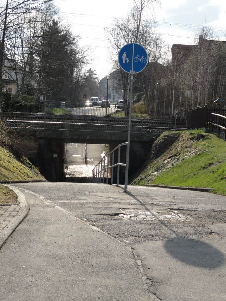 Puente camino del tren by tintisol