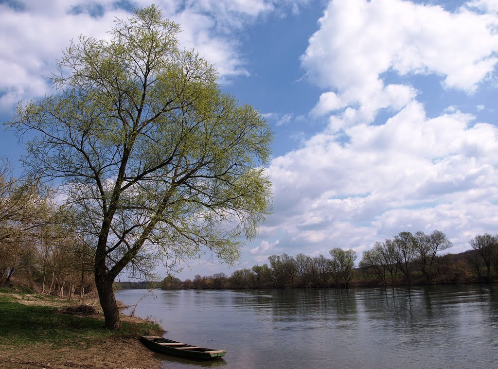 A view to Kupa river in Donja Kupčina by Marin Stanisic