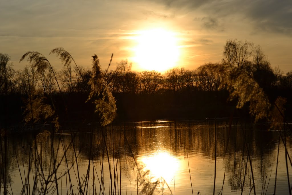 Sonnenuntergang am Baggersee by ZiKlaus