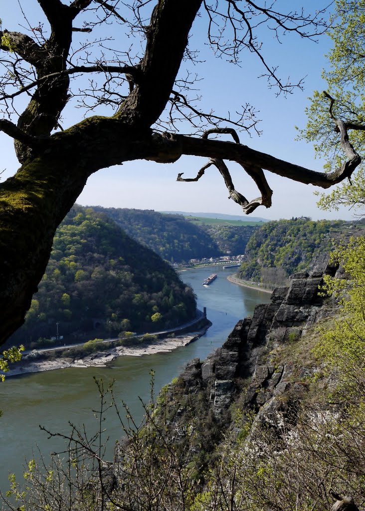 Blick zur Loreley by K.Herr