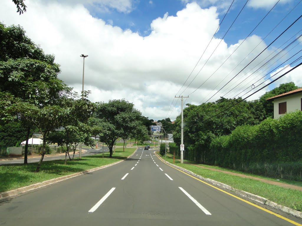 Av. Mato Grosso - Campo Grande/MS by Carlos Morcego