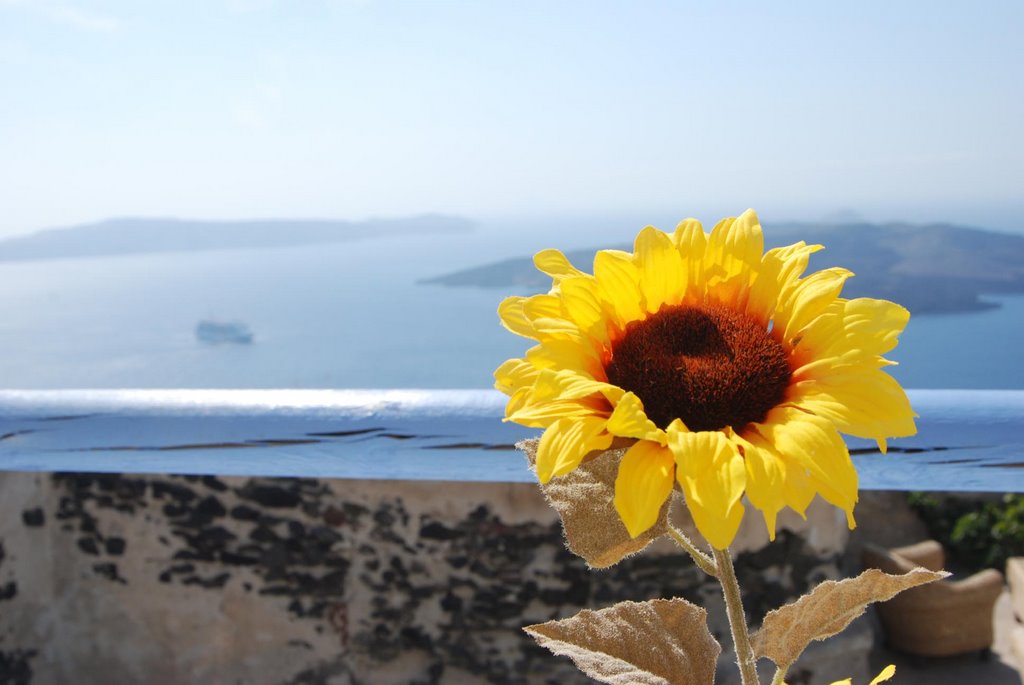 Santorini Forever by Deniz Koksal