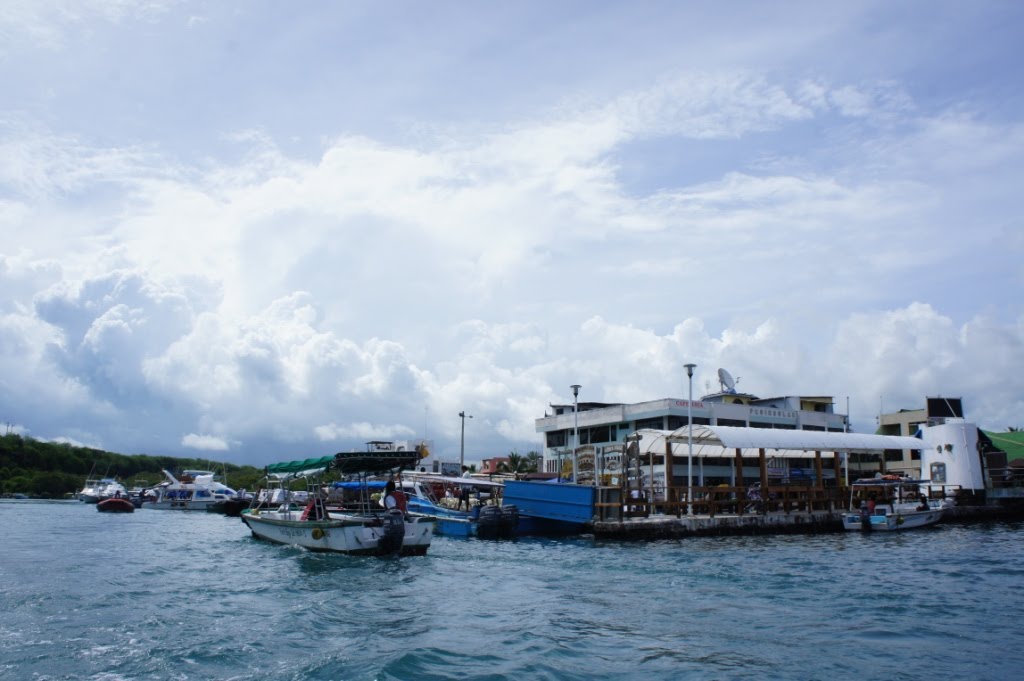 Puerto Ayora, Galápagos © By α-ßλè-λ by α-ßλè-λ