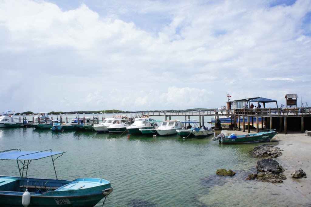 Puerto Villamil, Isla Isabela, Galápagos © By α-ßλè-λ by α-ßλè-λ