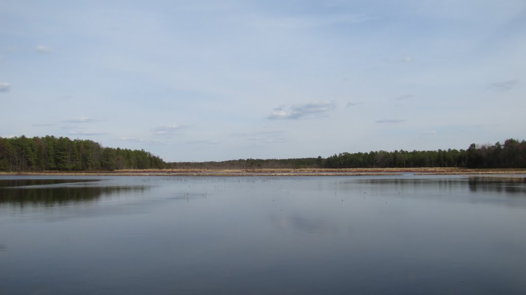 Jersey Devils Western Cranberry Bog view East by Chris Sanfino