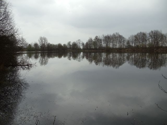 Teich in Gölenkamp by Sammyoetddy