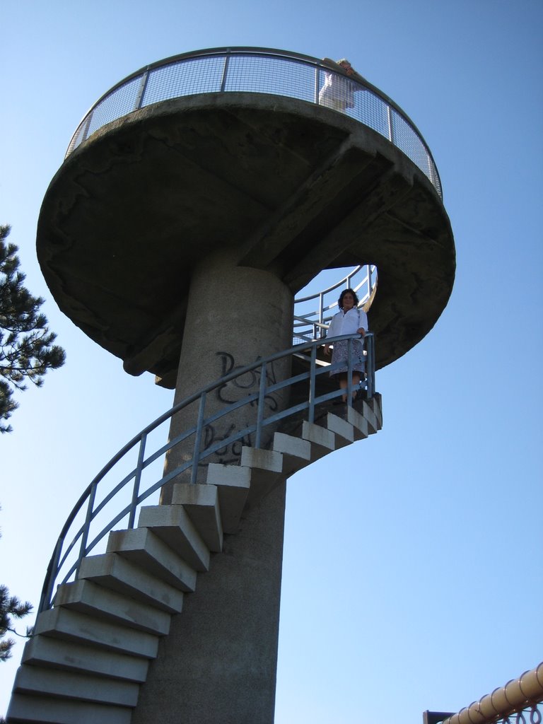 Uitkijktoren Boswachterij Westerschouwen by Leo IJzelenberg