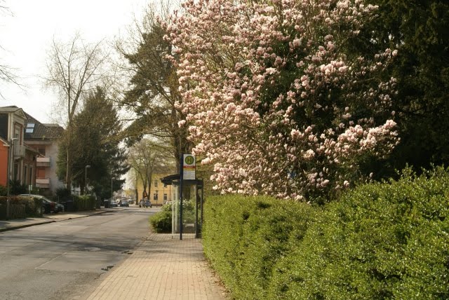 Unna, Parkstraße by Artur Siupka