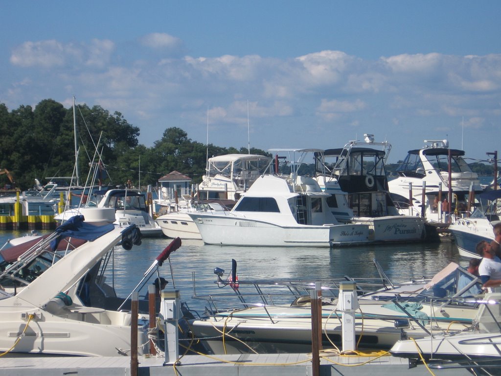 Put In Bay Public Dock by cdb101