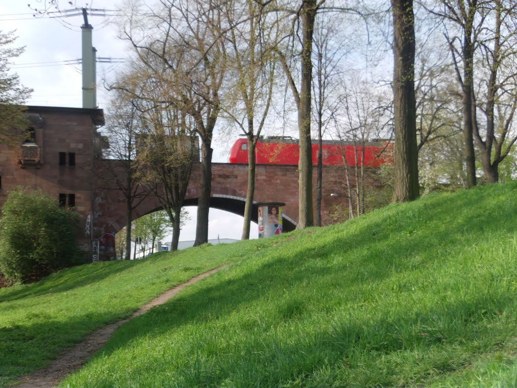 Eisenbahnbrücke Köln-Süd, Poller Rheinwiesen by ©Elisabeth van Langen