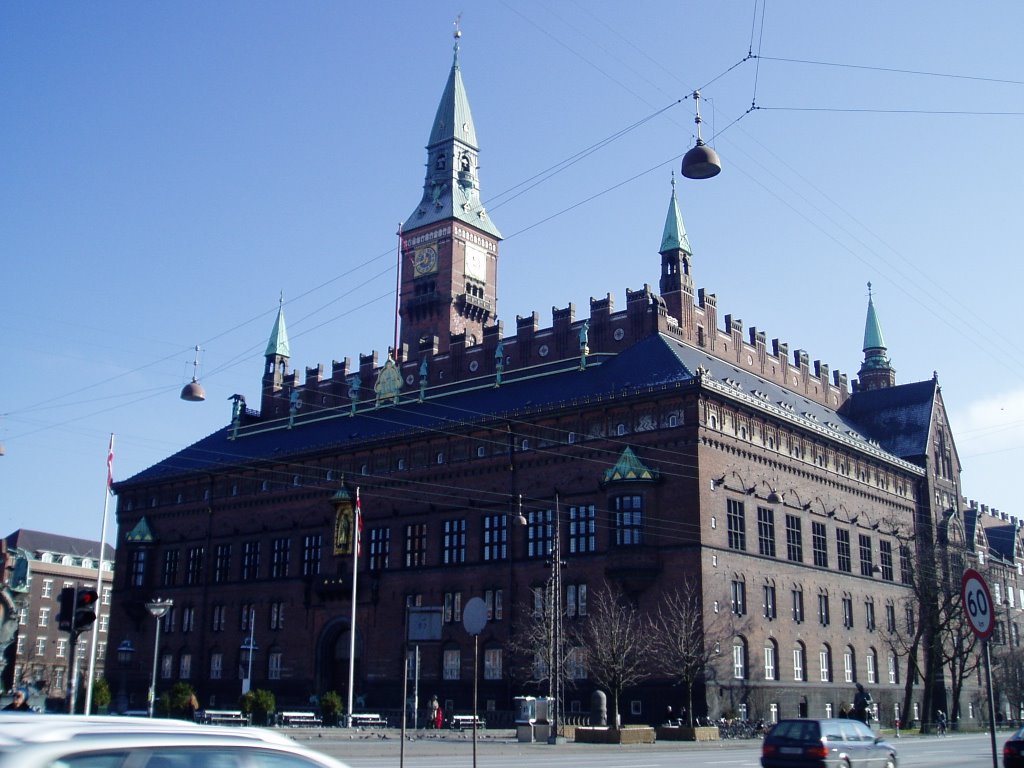 Radhus (Ayuntamiento) by Sergio Goicoechea