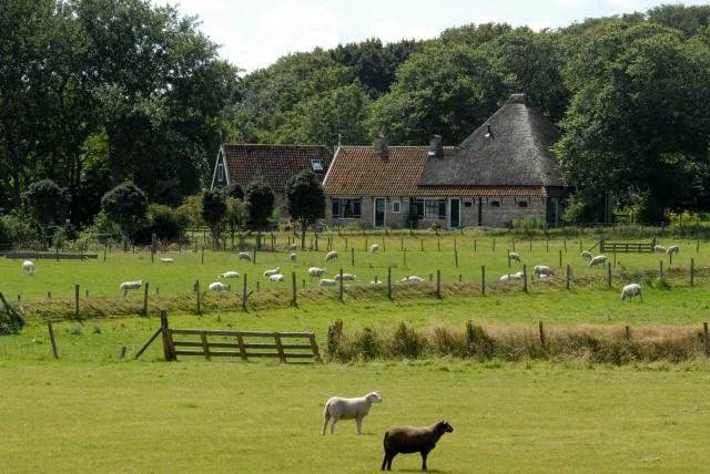 Het Hoge Berg gebied by Salko de Wolf