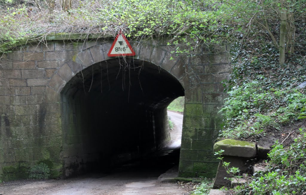 Watery lane Aquaduct by AbbieK