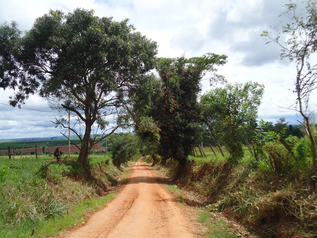 Estrada Municipal Paraíso a Embaúba via Corrego das Pedras em 04/04/2011 by Mauro Luiz Benedito da Costa