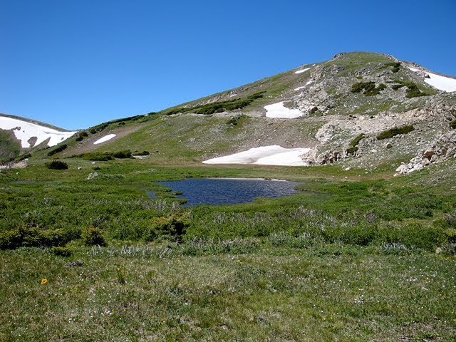 Rocky Mt. NP 7-10 - Pond Near the Top of Fall River Road by Falcon (Chris Hood)