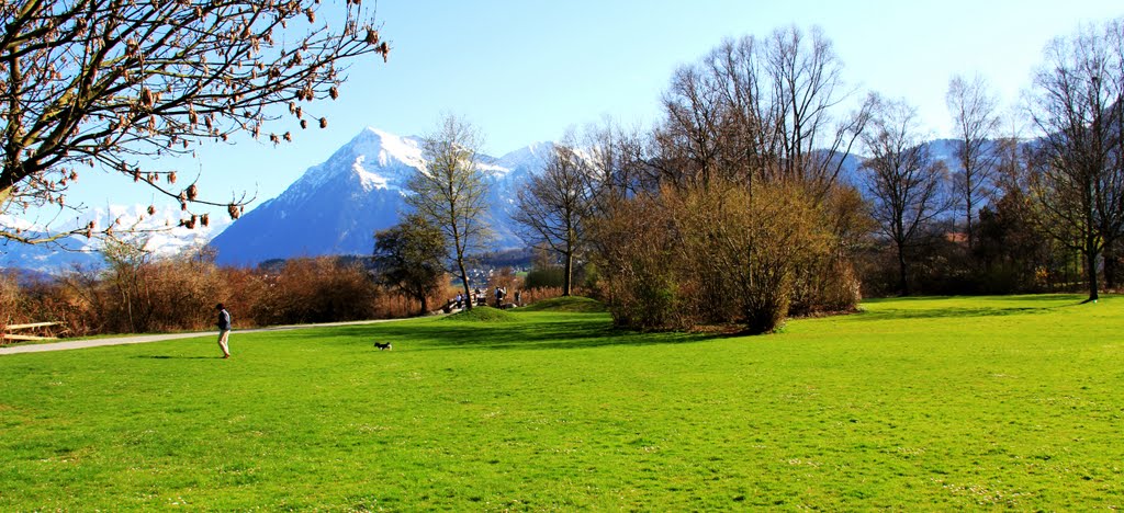 Parco di Dürrenhast - Primo sole by alfonso minoli