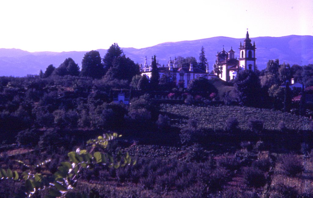 Solar Mateus - Vista Geral, 1969 by Luís Boléo