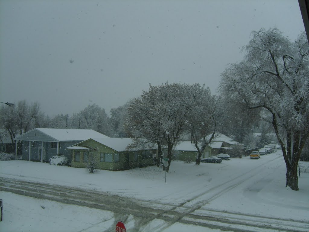 Snowfall in Ellensburg, Washington by Cowboy Mark Nitchman