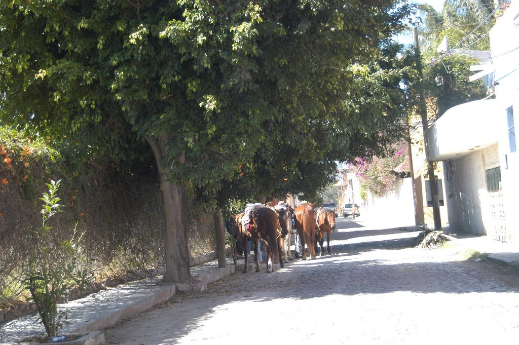 Ajijic street traffic jam by Randys photos