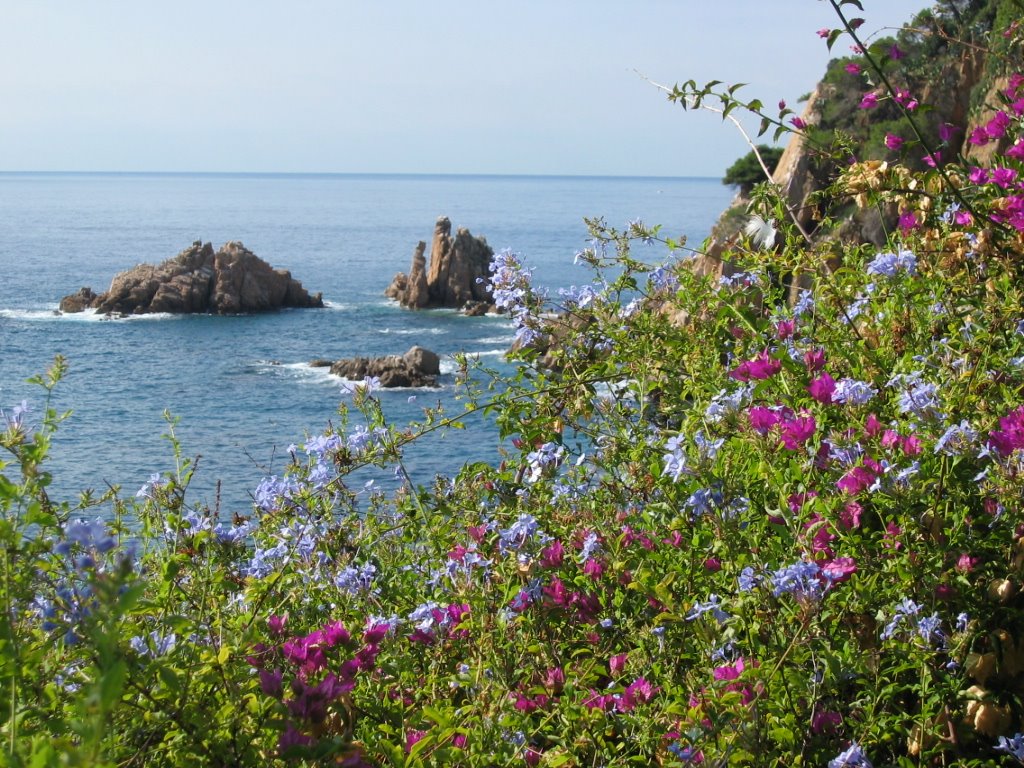 Vue sur la mer depuis le jardin botanique by JIPE4509