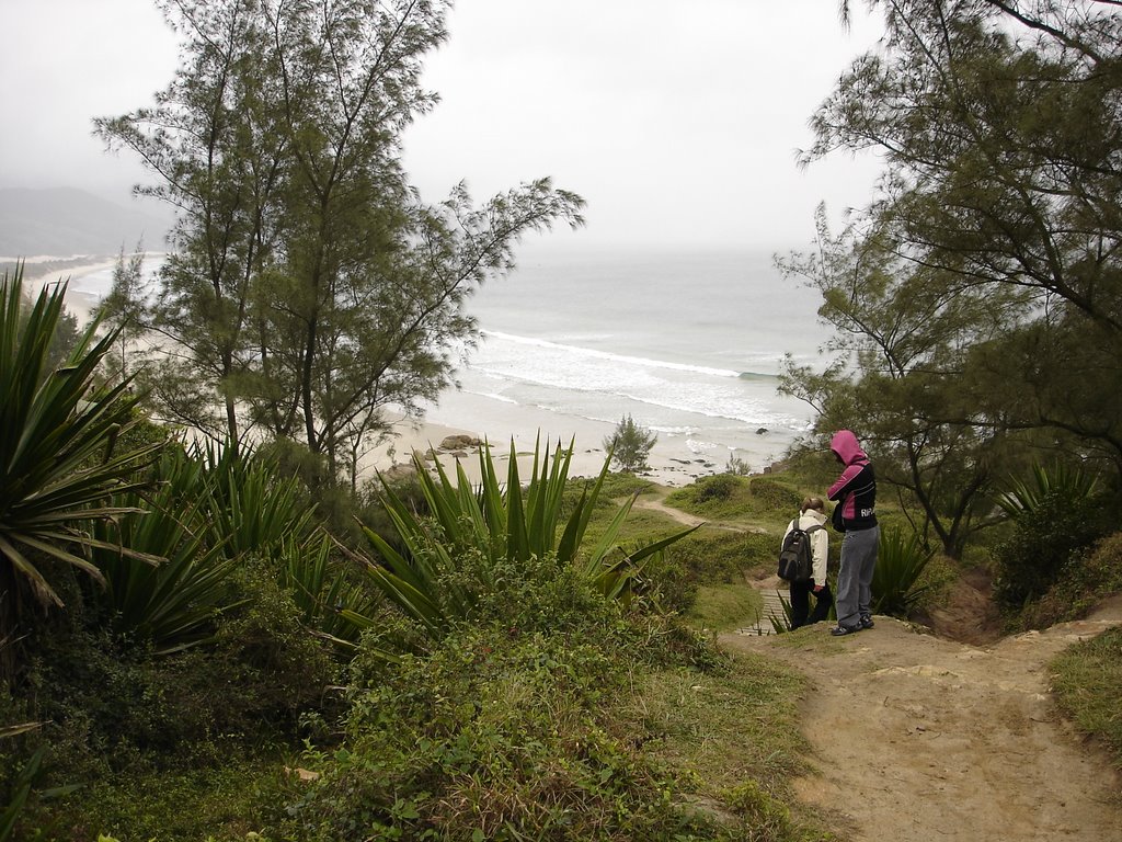 Garopaba - State of Santa Catarina, Brazil by gwenoff