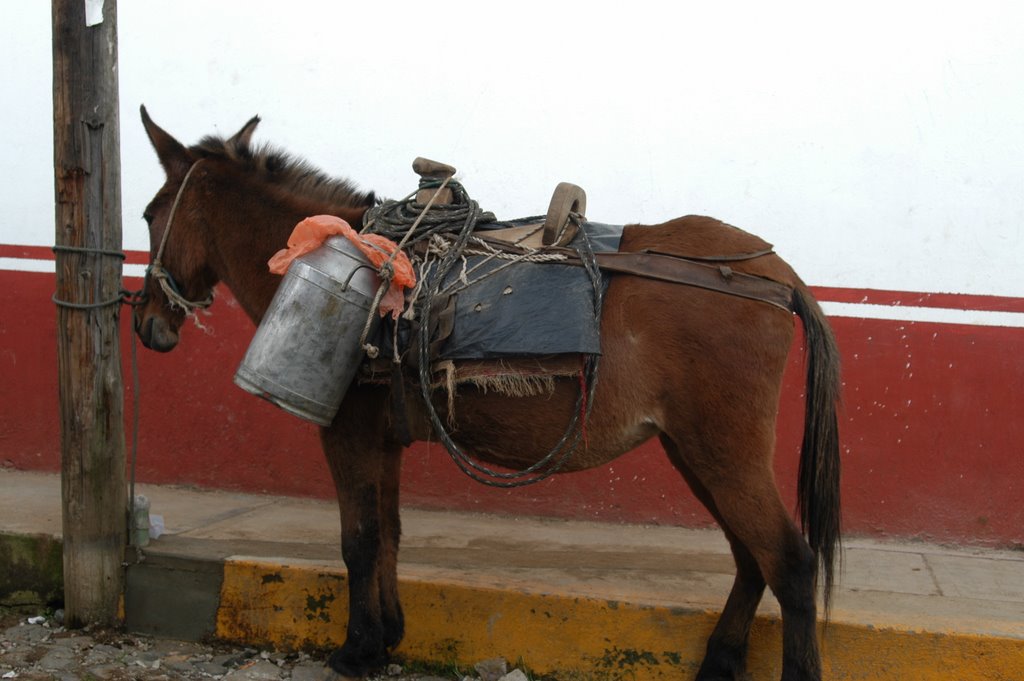 Parked Mexican "Jeep" by Randys photos