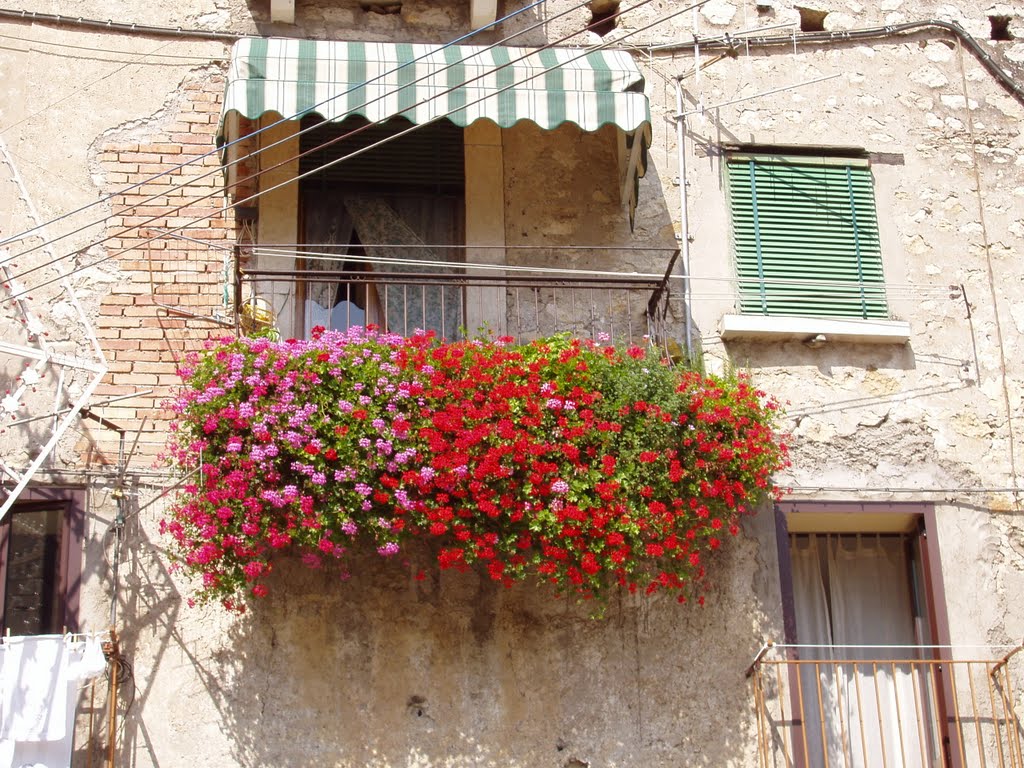 Balconata fiorita by barile francesco