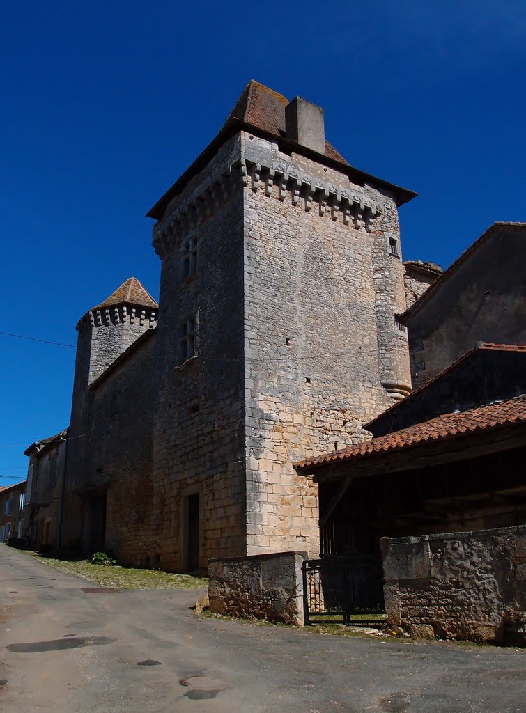 Varaignes Chateau - April 2011 by Mike Stuckey