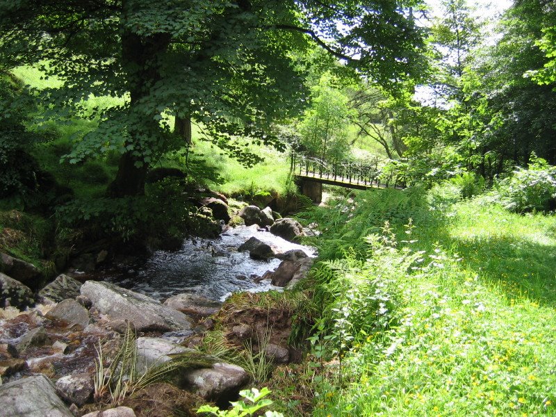 Oldboleys, Co. Wicklow, Ireland by banbani