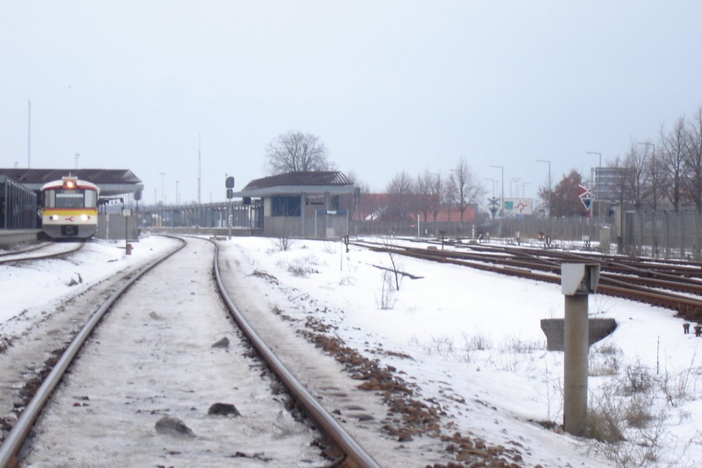 Train in Koge, Denmark by Dan Thomson