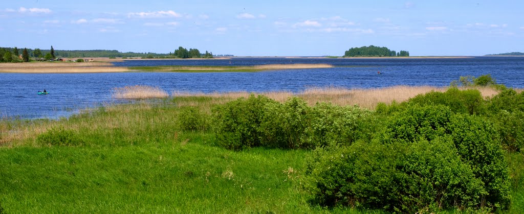 Võrtsjärve lõunatipp / The southern end of the lake Võrtsjärv with Pähksaar isle 2008. by Jüri Raag